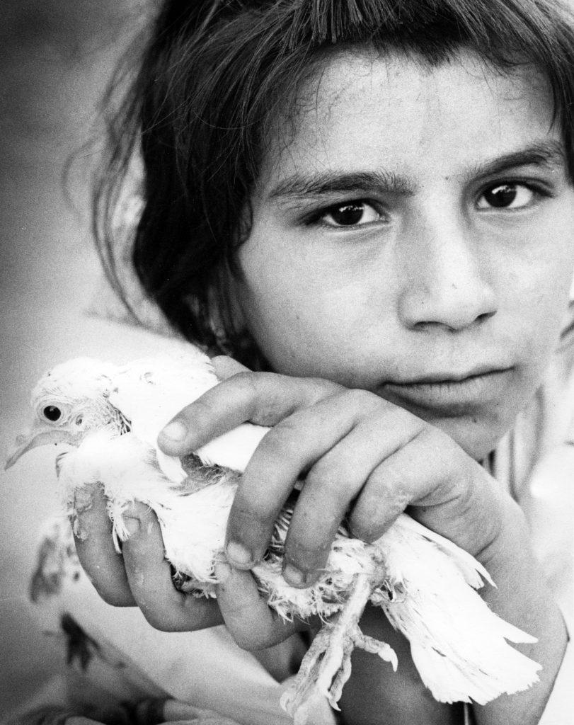 Afghan girl with bird, a character in the travel stories that yield memorable travel adventures. (Image © Meredith Mullins.)