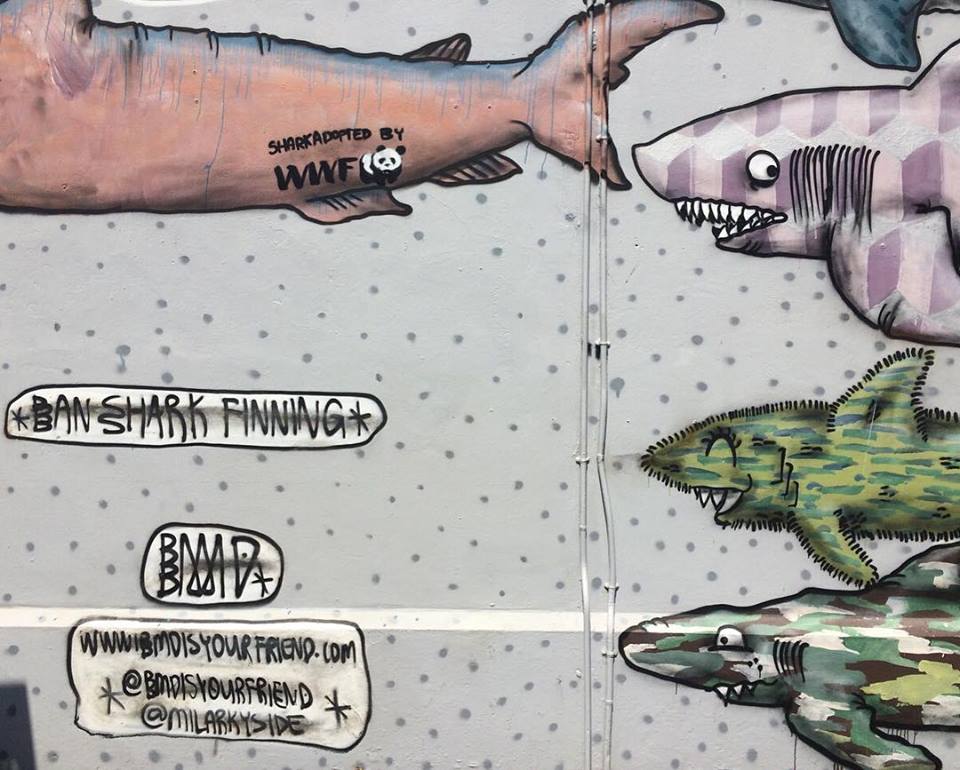 Graffiti of sharks and a sign against shark finning, showing why creative thinkers invented shark repellent (image © Nathan Garrison). 