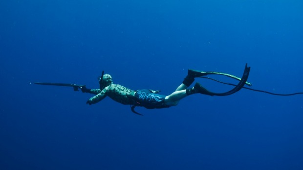 A spear fisherman swimming with shark repellent, showing the invention of creative thinkers (image © Jose Debassa).
