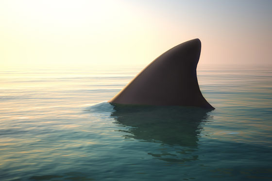 A shark fin in the ocean, prompting creative thinkers to invent shark repellent (image © DIgitalStorm/Thinkstock).