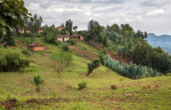 Rwanda houses and countryside, a place where cultural barriers must be broken. (Image © Sloot/iStock.)