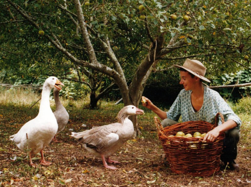 A woman feeding geese during a WWOOF experience, where she also gains insight into life as a global citizen (image © Courtesy of WWOOF Australia).