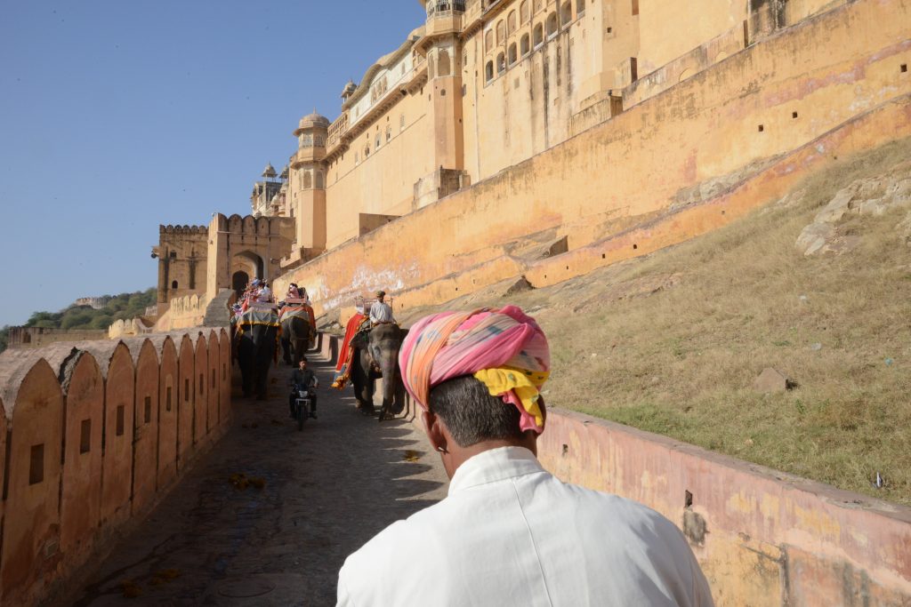 Elephants climbing the hill to the Amber Fort in Jaipur, India, offering travel adventures to visiting tourists. (Image © Meredith Mullins.)