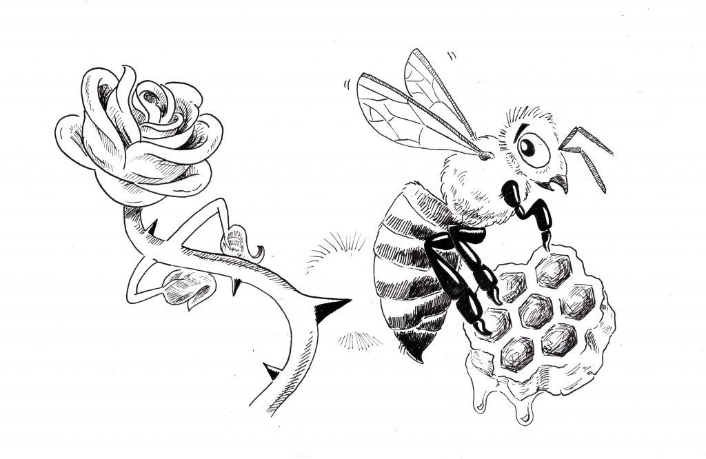 A cartoon of a rose poking its thorn at a bee holding honey, showing how visual wordplay with Spanish and English proverbs tickles the bilingual brain. (image © Eva Boynton).