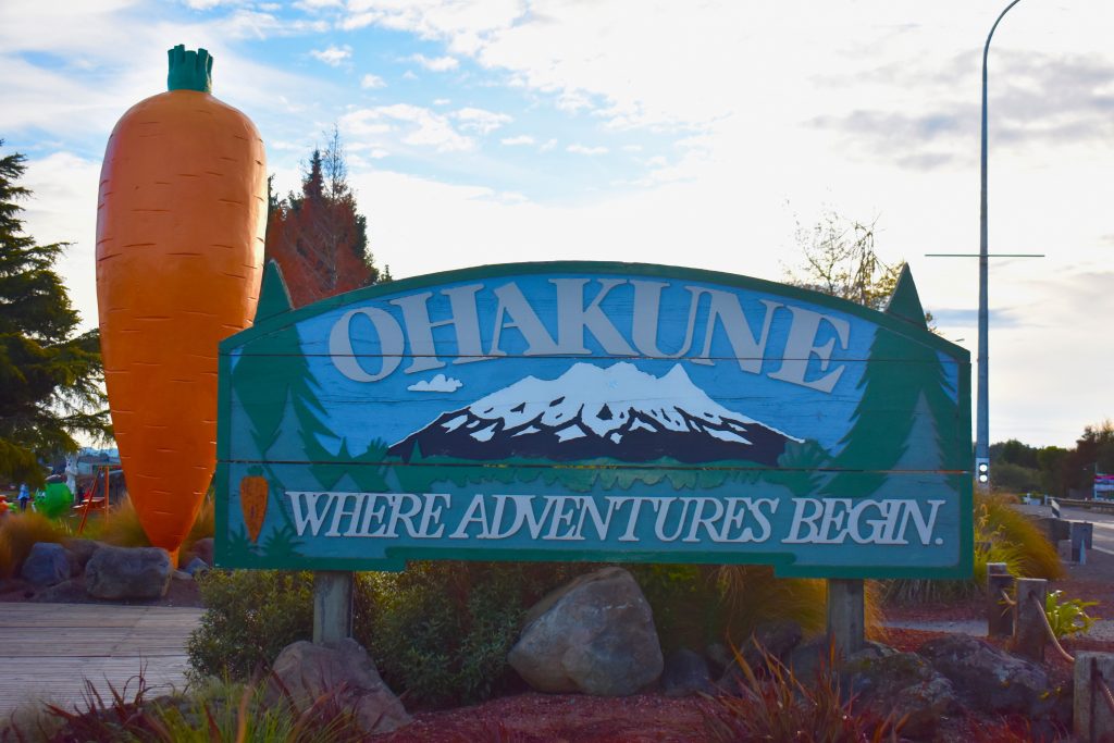 The Big Carrot and Ohakune sign welcome visitors to New Zealand travel adventure. (Image © Joyce McGreevy)