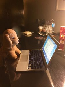 A toy canine travel mascot named Bedford, shown with laptop, inspires his human travel buddy to see the world differently. (Image © Joyce McGreevy)