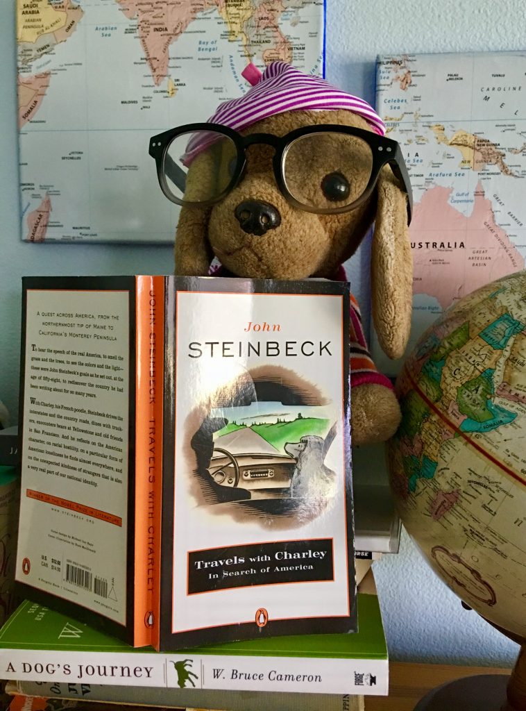 A toy canine travel mascot named Bedford, shown with books about traveling dogs, inspires his human travel buddy to see the world differently. (Image © Joyce McGreevy)