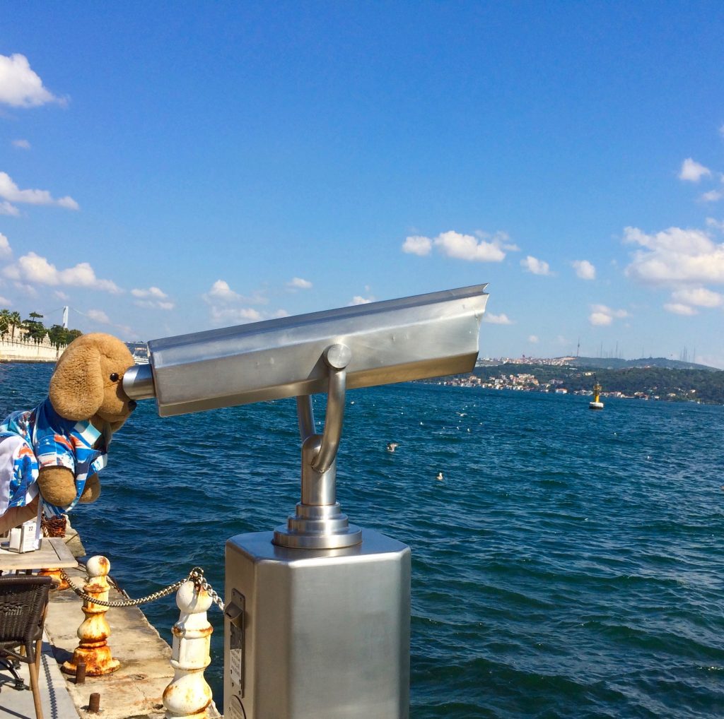 A toy canine travel mascot named Bedford, shown at the Bosporus, inspires his human travel buddy to see the world differently. (Image © Joyce McGreevy)