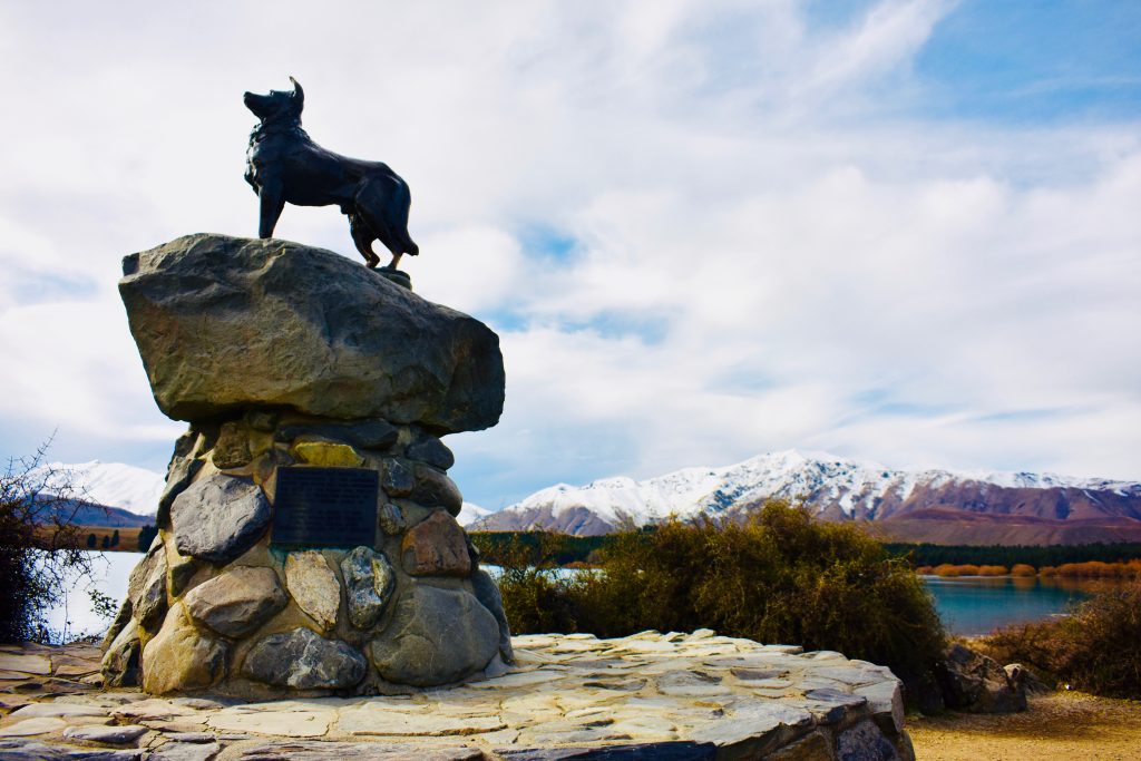 The Mackenzie Dog Monument at Lake Tekapo evokes memories of a New Zealand travel adventure and Kiwi kindness. (Image © Joyce McGreevy)
