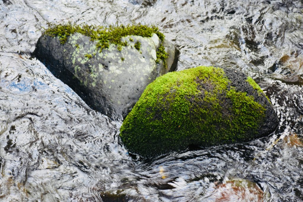 River rocks in the Mangawhero River, Ohakune, Ruapehu evoke memories of a New Zealand travel adventure and Kiwi kindness. (Image © Joyce McGreevy)