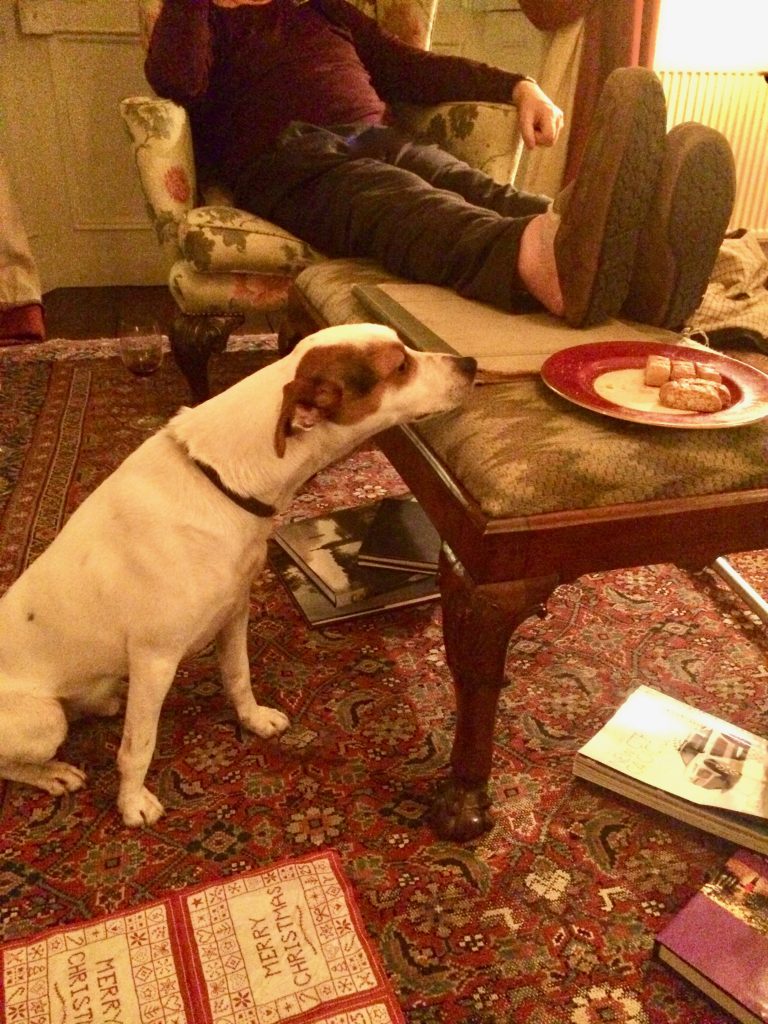 A dog eyeing treats in a Dublin parlor evokes the Irish tradition of the party piece, sharing songs, stories, and poems, including shaggy dog stories. (Image © Joyce McGreevy)