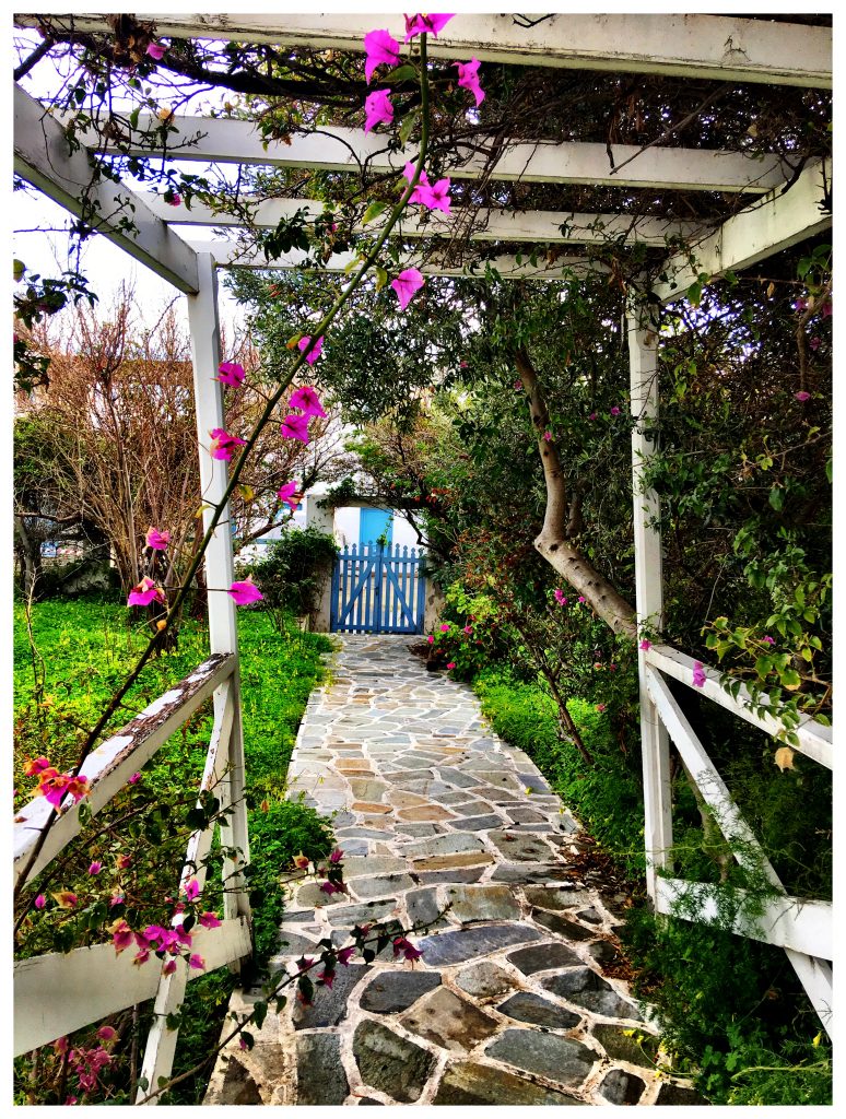 A garden on the tiny Greek island of Serifos in the Cyclades invites those with wanderlust to wander through. (Image © Joyce McGreevy)