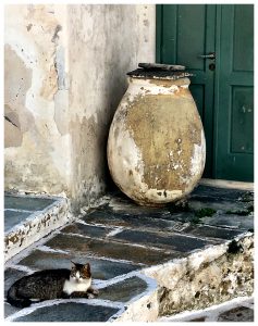 A cat, Chora steps, and a weathered urn on Serifos, a tiny Greek island in the Cyclades, create the kind of tableau that inspires wanderlust. (Image © Joyce McGreevy)