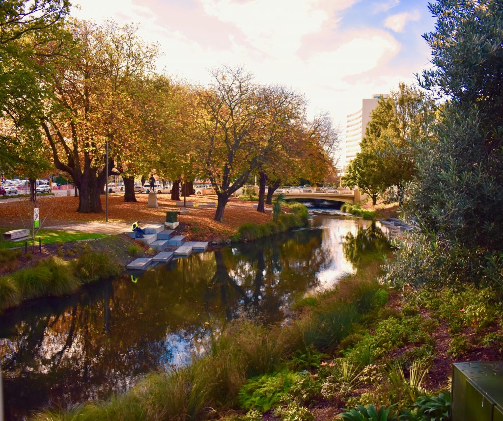Autumn leaves at the River Avon in Christchurch, New Zealand inspire an author to consider the true nature of time travel adventures.(Image © Joyce McGreevy)