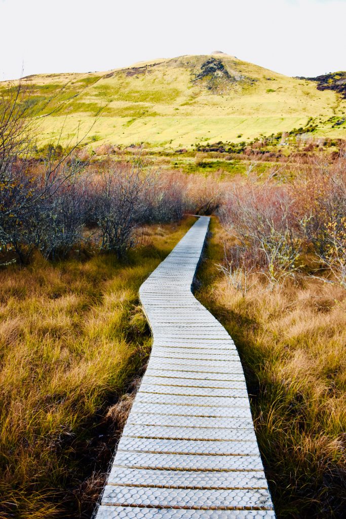 Glenorchy’s wooden pathway leads into the wetlands and is a treat for visitors who are walking New Zealand. (Image © Joyce McGreevy)