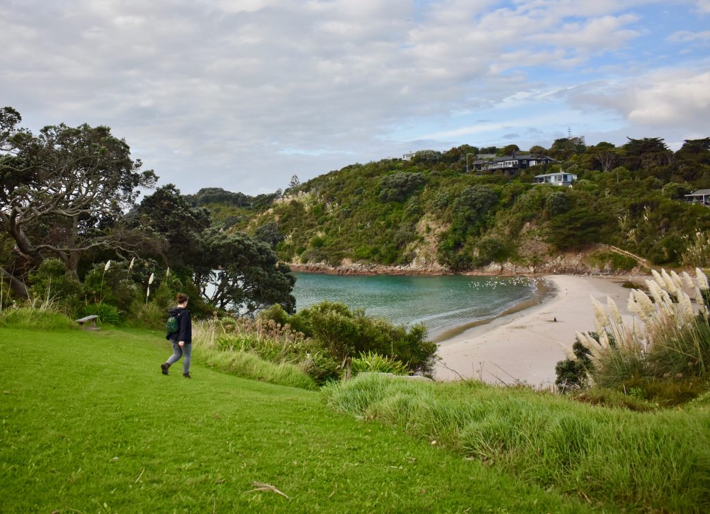 Walking pathways around Waiheke Island’s beach and bush are a treat for visitors who are walking New Zealand. (Image © Joyce McGreevy)