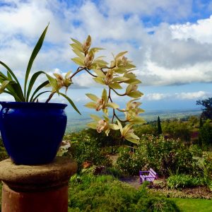 Garden objects in Maui lead a writer to ponder the reasons we find travel inspiration in souvenirs. (Image © Joyce McGreevy)