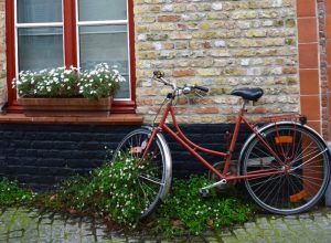A bicycle overgrown with flowers inspires a walk around Brugge, Belgium, where being bilingual is just the beginning. (Image @ Joyce McGreevy)
