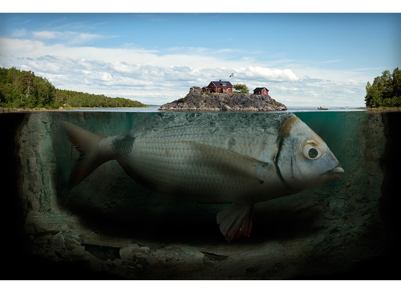 Fishy Island, showing the need to look deeper to live life to the fullest