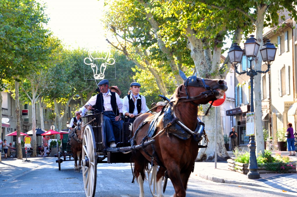 Horse neighing in parade celebrating French cultural heritage and traditions