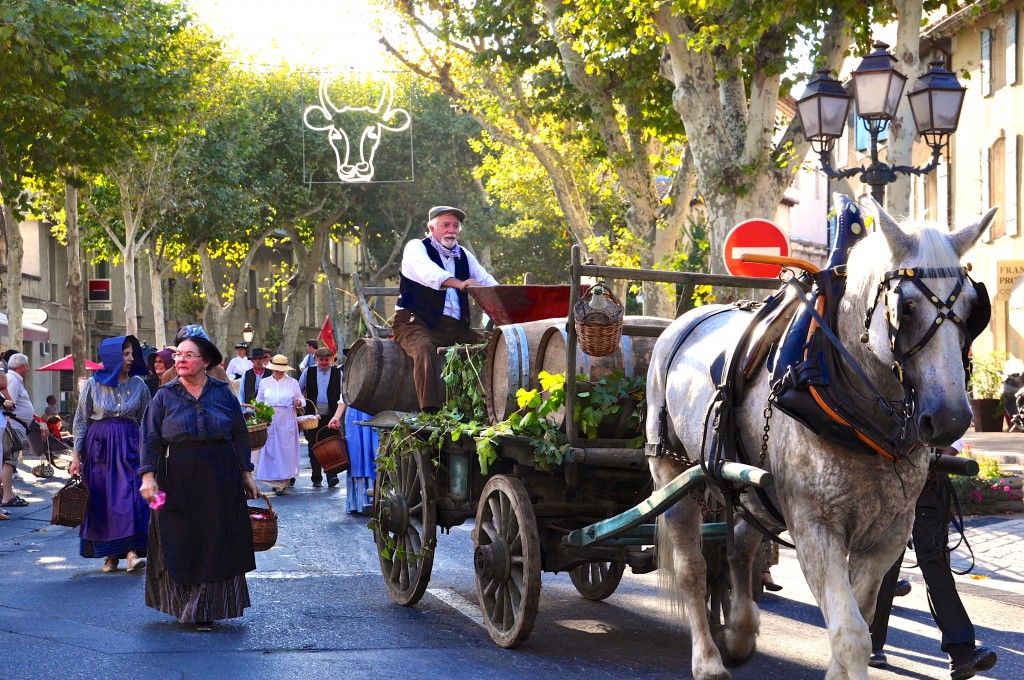 Winemaker in parade celebrating French cultural heritage and traditions