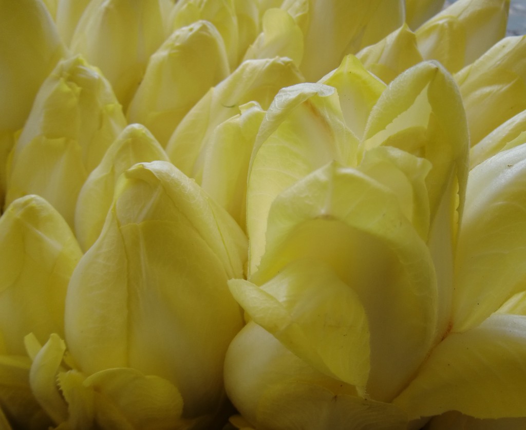 Endive for sale in a Normandy vegetable market gives the author an "Oh, I see" moment about the endive growing cycle