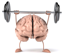 A brain lifting weights to signify the brain power of being bilingual (Image courtesy of Thinkstock)