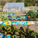 Life-Changing Experiences Inspired by School Gardens