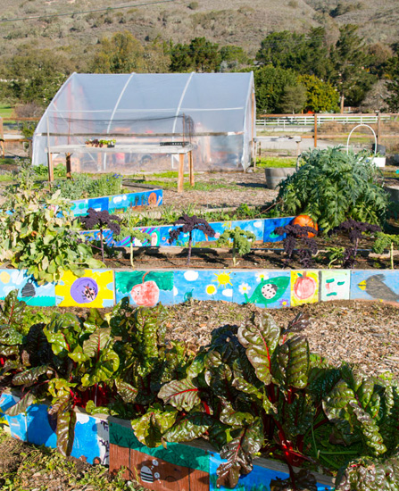 Organic school garden and greenhouse inspire life-changing experiences 