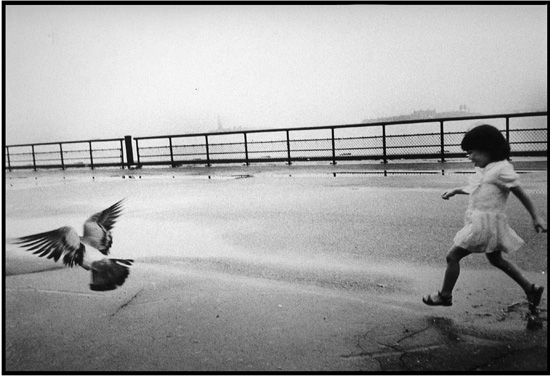 child running after bird provides a way of seeing differently for a blind photographer with creative inspiration