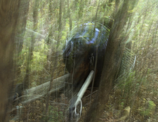 deserted grill in the woods provides creative inspiration to a photographer seeing differently