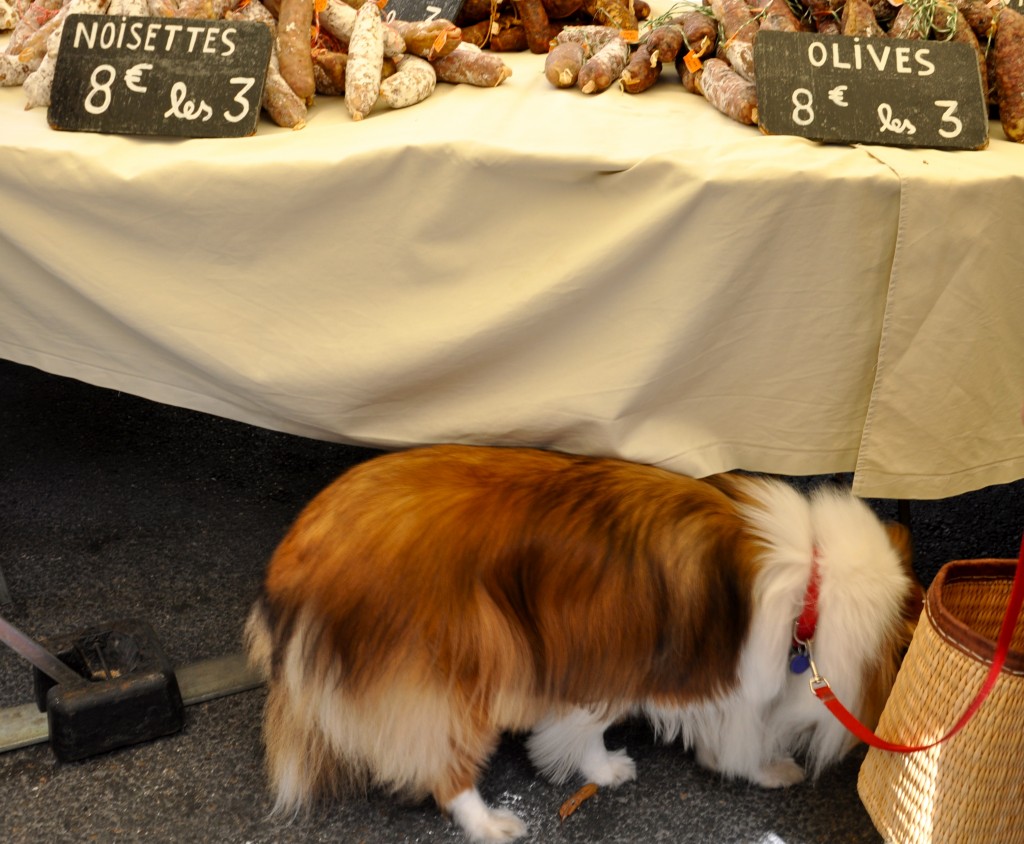 After crossing cultures to France, a Sheltie finds tasty morsels under the sausage table in the markets of Provence.