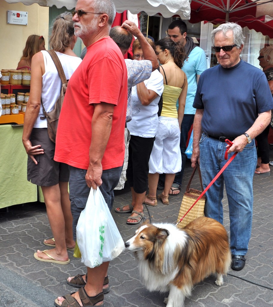 After crossing cultures, a Sheltie sniffs out food in the markets of Provence and provides an aha moment.