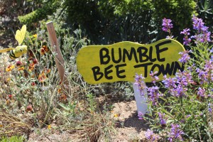 A bee garden where important life lessons are on display