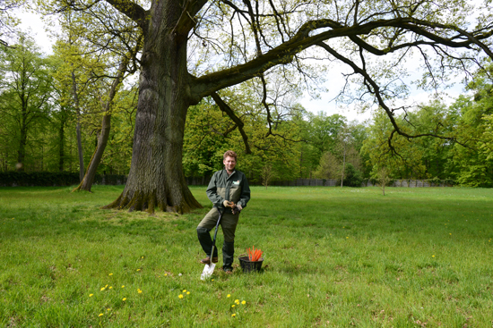 Jérôme Dormion stands alone in a field at Versailles, part of the life-changing experiences of being a Royal Molecatcher.