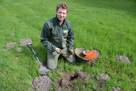 Jérôme Dormion, at work in Versailles, with shovel, traps, and molehills in his job as Royal Molecatcher, full of life-changing experiences.