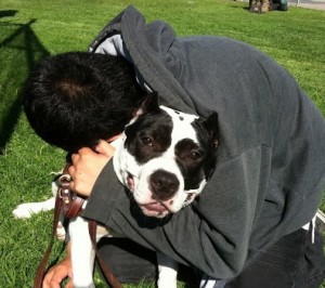 Bonding during a Take the Lead class, which is a life-changing experience for dogs