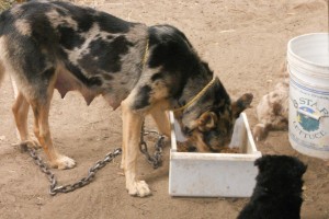 Jolie before Take the Lead, which will be a life-changing experience