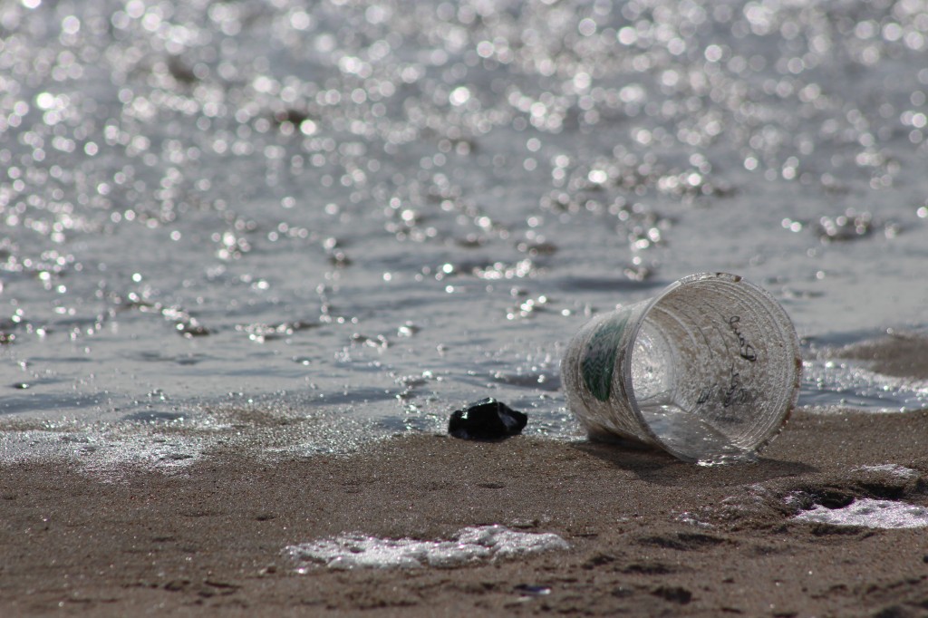 trash on the beach, an inspiration for finding common ground on World Oceans Day