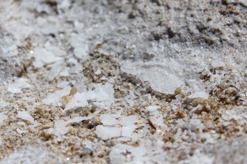 sea salt, an inspiration for finding common ground on World Oceans Day