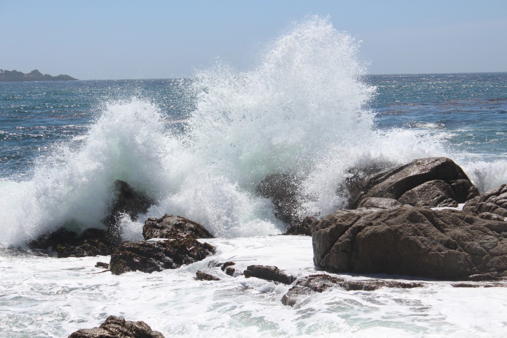 powerful waves, an inspiration for finding common ground on World Oceans Day