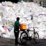 Plastic Alternatives— Yep, They Grow on Trees!