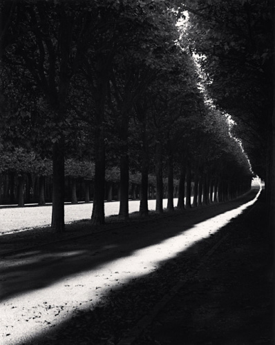 Parc de Sceaux pathway, creative inspiration from Michael Kenna