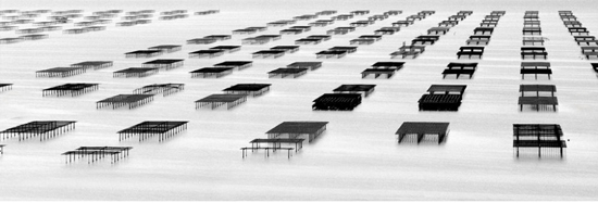 Oyster farming in France, creative inspiration in a black and white photography by Antoine Gonin