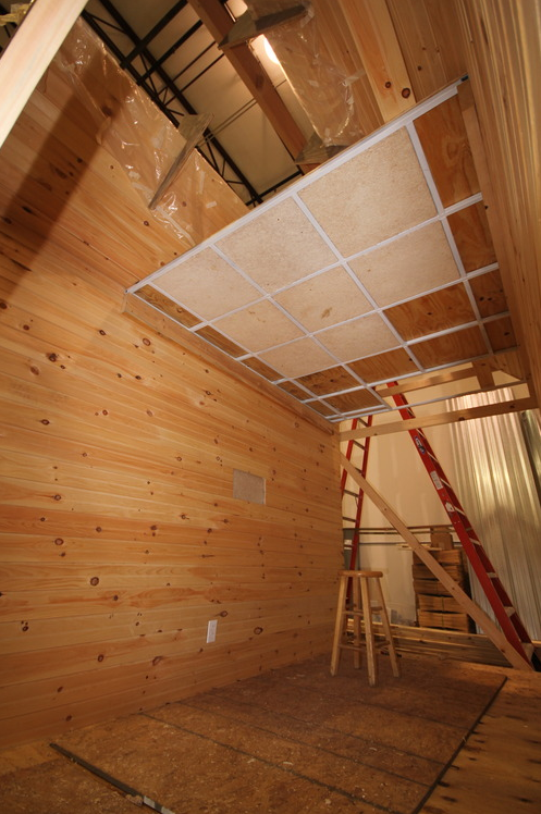 Mushroom ceiling tiles in the mushroom tiny house, an example of housing innovations