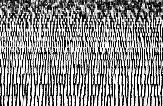 Abstract view of mussel beds in France, creative inspiration in a black and white photography by Antoine Gonin