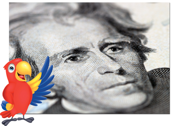 Cartoon parrot with illustration of Andrew Jackson, representing a story from his funeral, an opportunity for readers to have their own aha moment