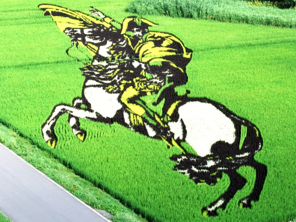 Japanese rice paddy art of Napoleon on his white horse (2009), showing creative inspiration by the villagers of Inakadate (Image by Captain76)