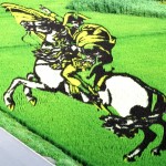 What’s Napoleon Doing in a Japanese Rice Paddy?