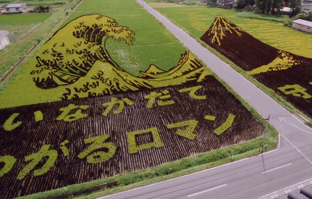 Japanese rice paddy art (2007), showing creative inspiration of villagers in Inakadate